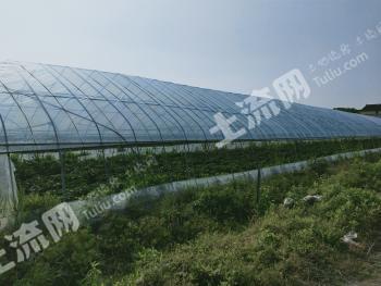 嘉兴南湖区 135.11亩 其它园地 经营权转让