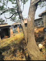 太原清徐县 430平米 农家庭院 出租