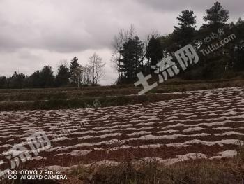 毕节威宁彝族回族苗族自治县22.96亩旱地经营权出租