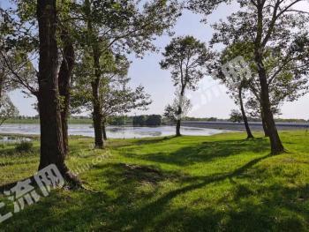 乌兰察布丰镇市 2600亩 水产养殖用地 经营权转让