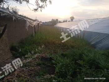 汉中洋县 54.77亩 其它耕地 经营权出租