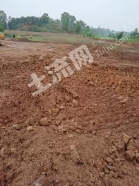 云浮罗定市30亩工业用地可种植使用权转让