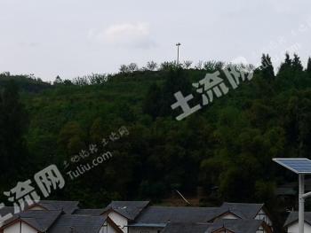 广安前锋区 150亩 果园 经营权出租