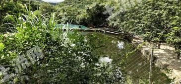 深圳南山区83亩有林地经营权转让