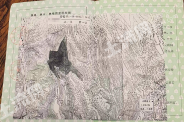 宝鸡麟游县 291亩 乔木林地 经营权转让