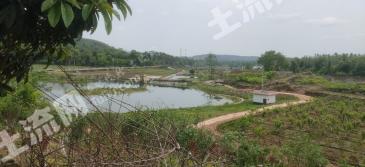 绵阳北川羌族自治县 150亩 其它园地 经营权转让