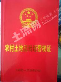巴中平昌县 209.74亩 其它耕地 经营权转让