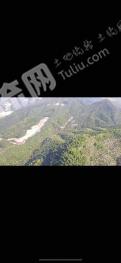 衢州江山市 500亩 有林地 经营权出租