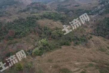 韶关乳源瑶族自治县5000亩其它林地经营权出租
