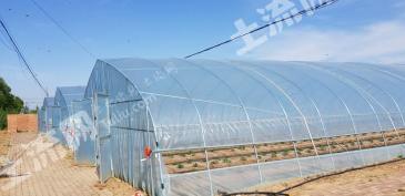 延安洛川县 6亩 地块经营权出租