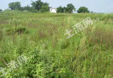 江苏南京17亩 商业用地 使用权转让