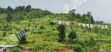 黔南平塘县甲茶镇西凉乡六寨村 1144亩 荒地 转让