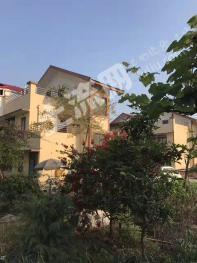 重庆大渡口区 180平米 农家庭院 使用权出租