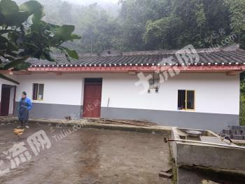 重庆江北区 400平米 农家庭院 使用权出租