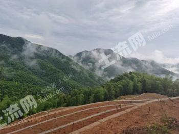 宁波奉化区100亩其它园地  经营权出租