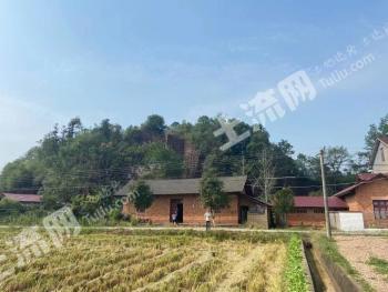 常德桃源县 300平 宅基地使用权出租