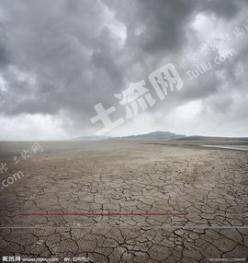 扬州宝应县 30亩 水田 经营权出租