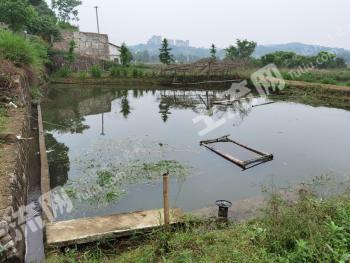 长沙宁乡市 200平米 农家庭院 使用权出租