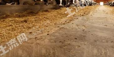 阜阳阜南县 60亩 畜牧养殖用地 经营权转让