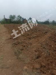 南阳桐柏县 170亩 有林地 经营权转包