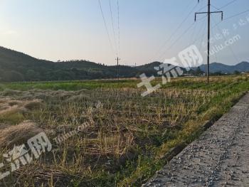 赣州兴国县300亩水田经营权出租