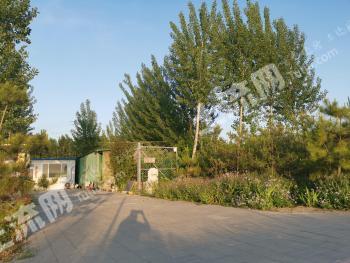 廊坊广阳区100亩 有林地经营权转让