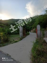 石家庄赞皇县 200亩 乔木林地 经营权转让