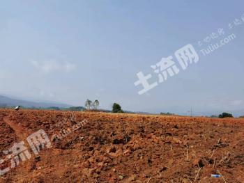 德宏瑞丽市40亩旱地经营权转让