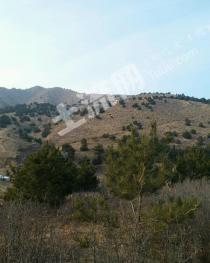 赤峰喀喇沁旗 2000亩 荒地 使用权出租