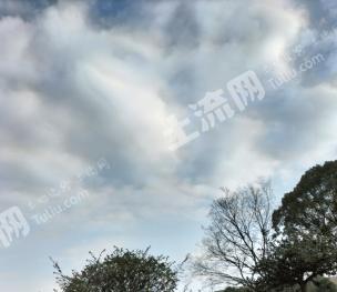 无锡宜兴市3000平方米厂房  经营权转让