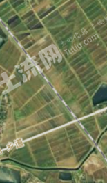 六安霍邱县 20亩 水田 经营权出租