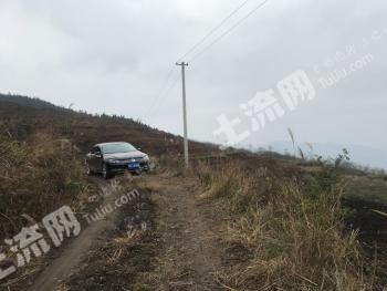 遵义正安县 600亩 其它园地 合作