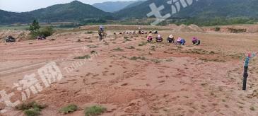 抚州乐安县 800亩 人工草地 转让