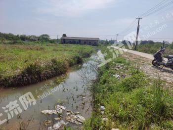 长沙天心区 10亩 农家庭院 使用权出租