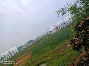 娄底娄星区 100亩 荒地 出租