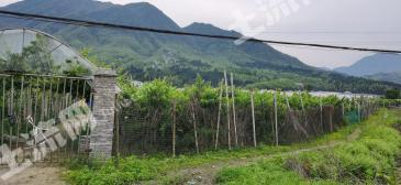 宜春奉新县 200亩 水田 经营权转包