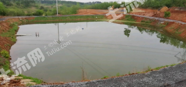 孝感安陆市 10亩 综合养殖用地 经营权出租