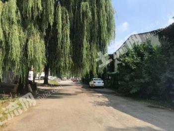 廊坊永清县 25亩 水浇地 经营权转让