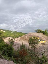 温州泰顺县 300亩 其它林地 经营权合作