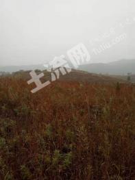 永州新田县 4000亩 荒山 使用权出租