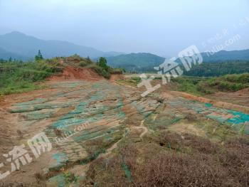 宜春铜鼓县 400亩 荒地 经营权出租