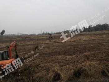 广安广安区 230亩 农场 使用权转让