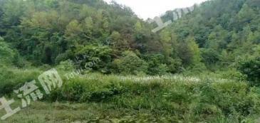 衡阳衡阳县 600亩 旱地 经营权出租