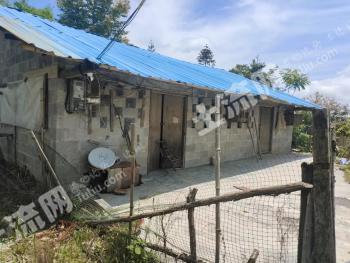 恩施宣恩县 40亩 综合养殖用地 出租