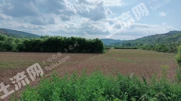 平凉灵台县230.25亩内陆滩涂出租