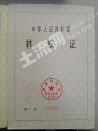 绵阳平武县9568.5亩其它林地经营权转让