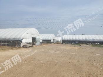 邢台南和县 17亩 农场 使用权出租