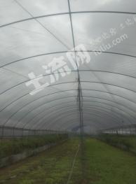 赣州南康区310亩连栋大棚经营权出租