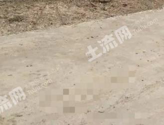 廊坊固安縣 1900平方米 農(nóng)村宅基地 使用權合作