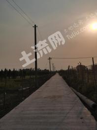 宿迁泗阳县 120亩 果园 经营权出租